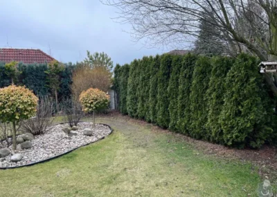 Ořez stromů a keřů Praha